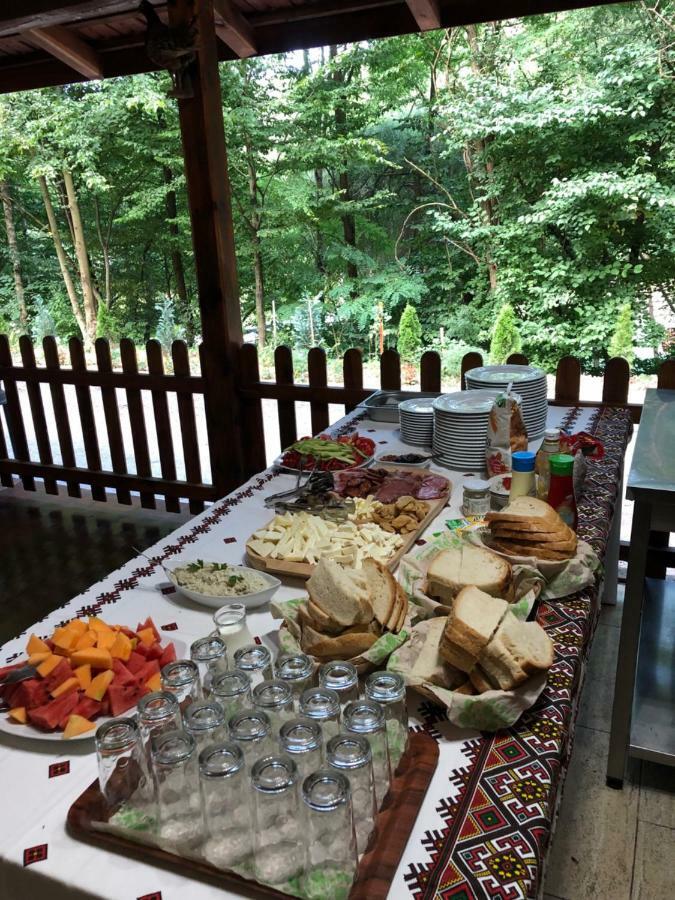Pensiunea Valea Gepisului Grosi  Εξωτερικό φωτογραφία